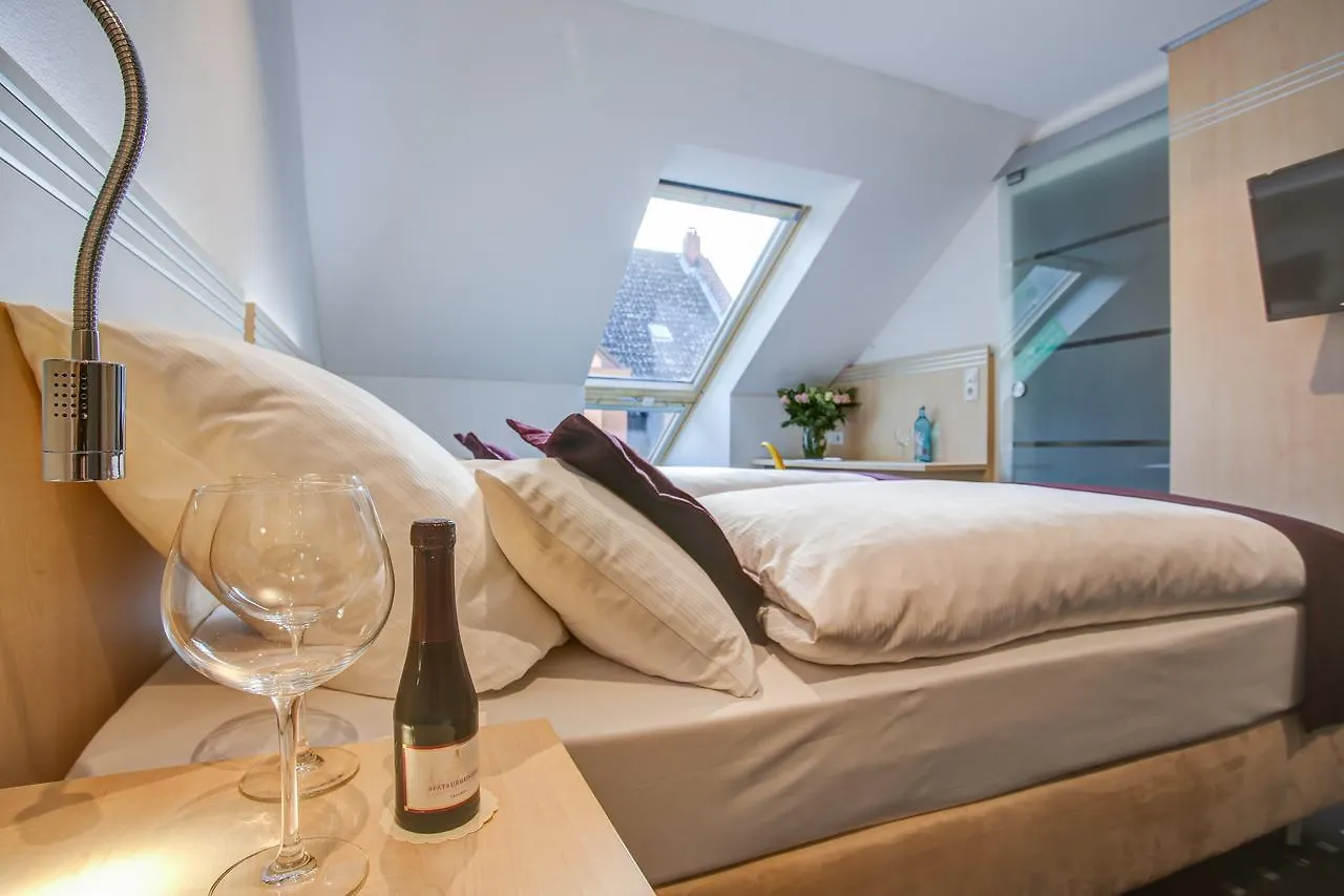 Rhein Neckar Hotel City Airport City Airport Mannheim